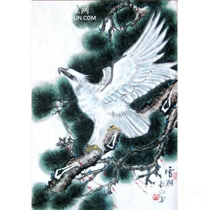 朱毅江画鹰《雪羽》 国画老鹰 朱毅江（醉墨）作品 类别: 国画老鹰